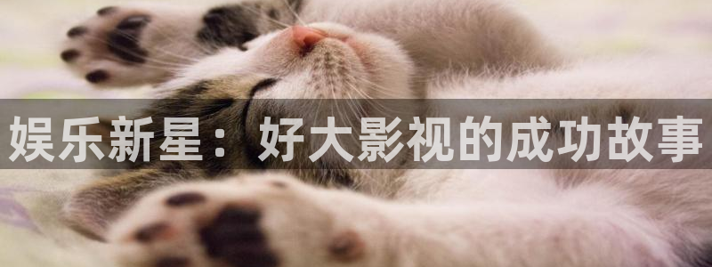 奇优影视在线看：娱乐新星：好大影视的成功故事