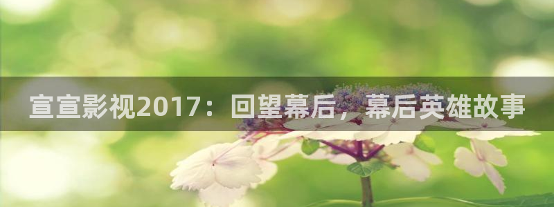 奇优影视电视剧电视剧：宣宣影视2017：回望幕后，幕后英雄故事