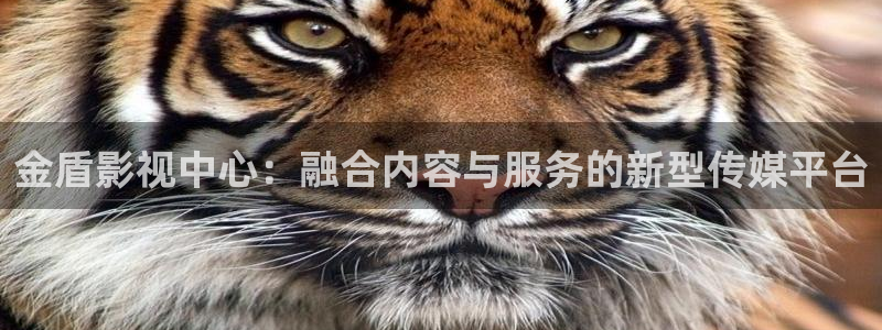 奇优影院大江大河