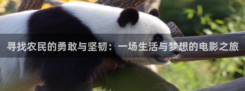 奇优影院手机版免费高清影院傲娇与偏见：寻找农民的勇敢与坚韧：一场生活与梦想的电影之旅