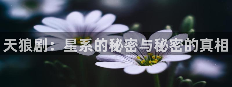 奇优影院看剧：天狼剧：星系的秘密与秘密的真相