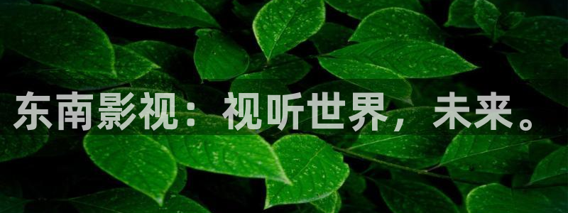 奇优影院手机版免费高清