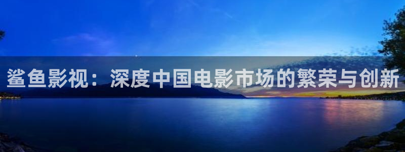 奇优影院好多：鲨鱼影视：深度中国电影市场的繁荣与创新