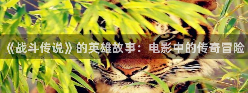奇优影视高清电影免费观看：《战斗传说》的英雄故事：电影中的传奇冒险