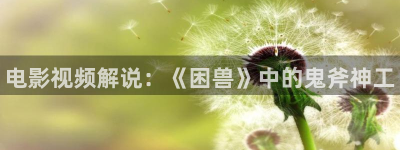 交换的一天奇优影院：电影视频解说：《困兽》中的鬼斧神工