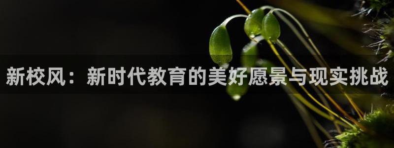 奇优影院免费手机版：新校风：新时代教育的美好愿景与现实挑战