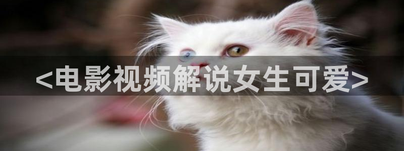 奇优影院在线观看电视剧免费