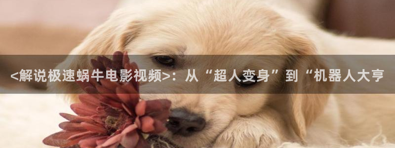 奇优影院在线观看免费
